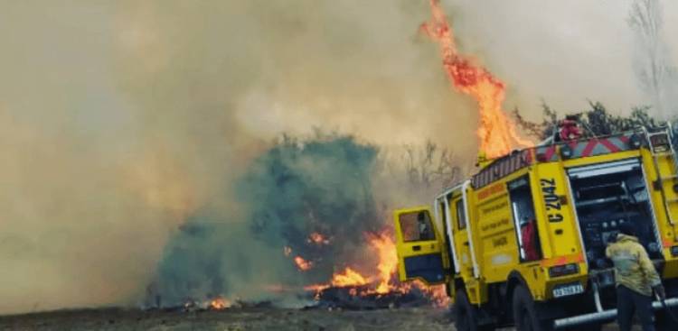 LAS CHACRAS: sofocaron un incendio en un campo