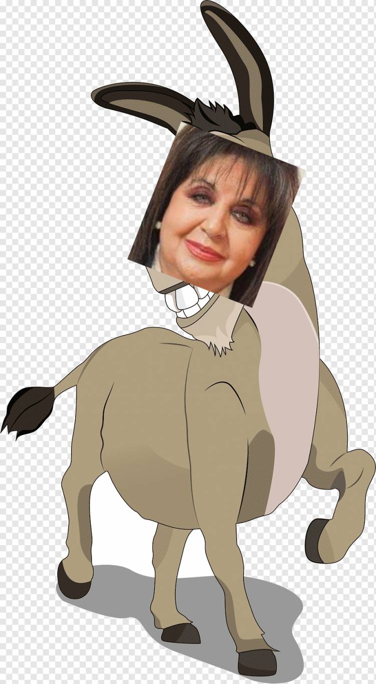 Una burrada de Berta Arenas mostró la vergüenza Legislativa.Verguenza ajena dijeron empleados de años .