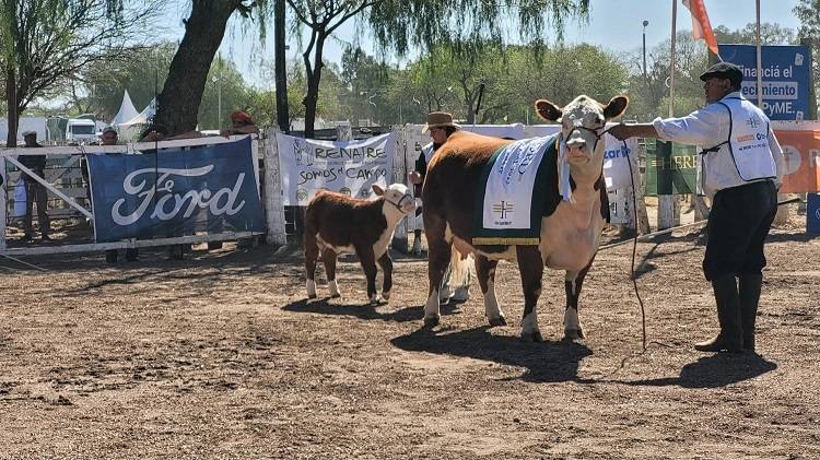 Pagaron un millón de pesos por la gran campeona Hereford