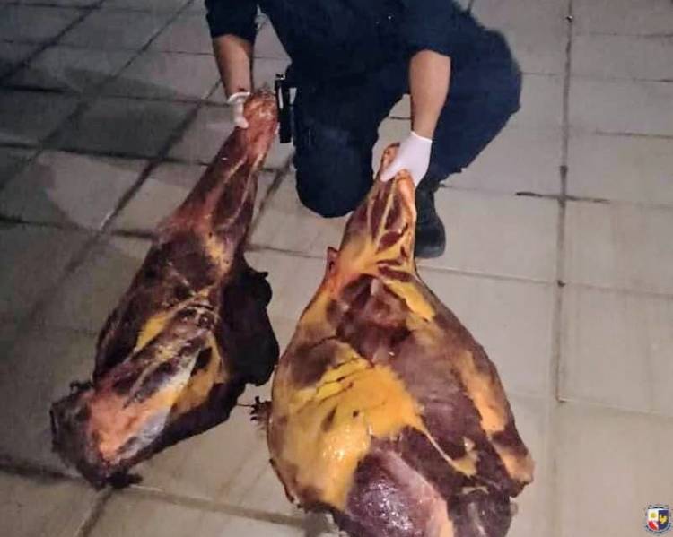 Poggi: sigue empobreciendo y hay desesperación. Carnean un caballo en Mercedes para comer. Desastrosa situación social . Un Policía lloró de ver la situación.