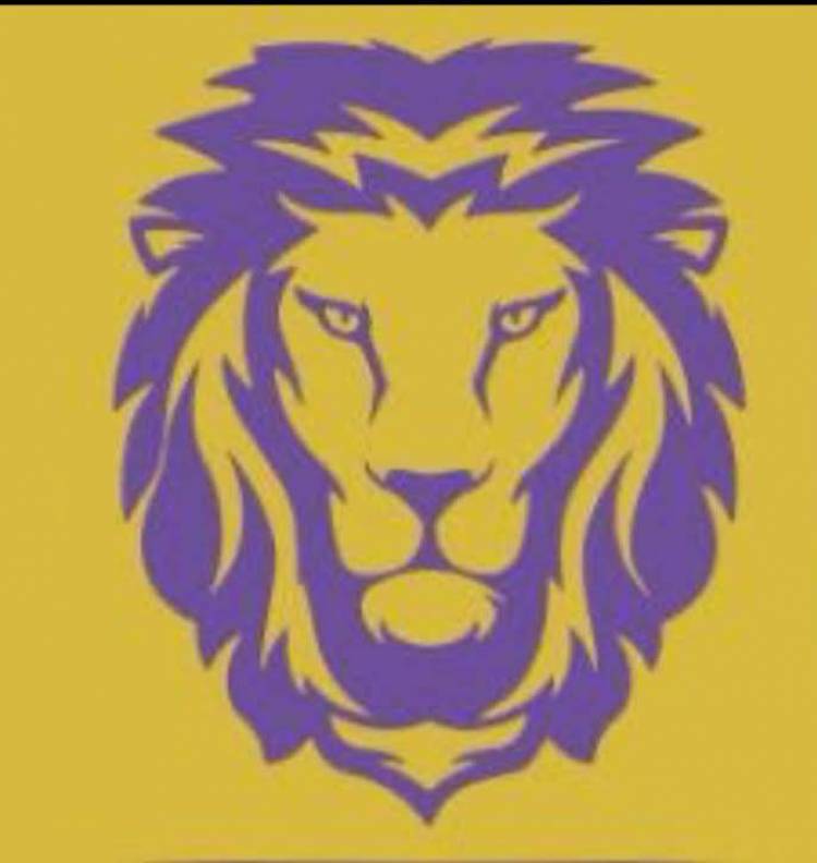 MILEI mantiene el 60 de imagen positiva en San Luis y Villa Mercedes.D Alessandro dice que pueden dar la sorpresa.El Leoncito Amarillo es lo que los identifica 