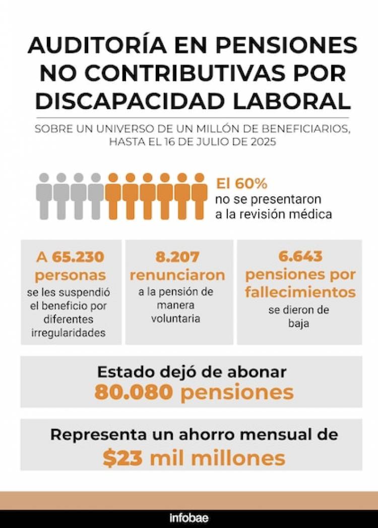 Dieron de baja 80 mil pensiones por Discapacidad con Milei .La auditoría verifica y es de muy difícil acceso 