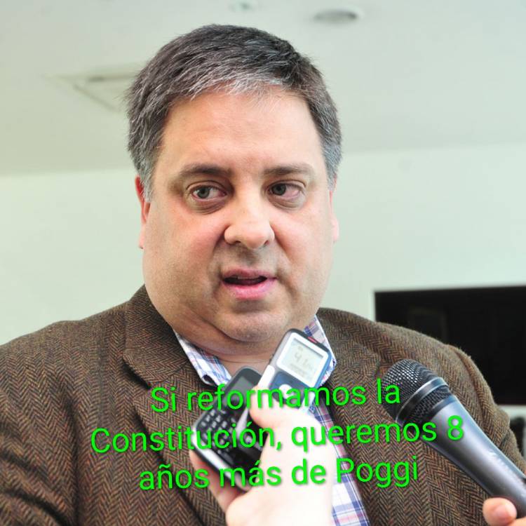 Endeiza:Si reformamos la Constitución, pretendemos 8 años más de Poggi.Contexto político actual 