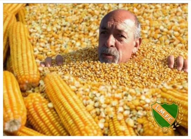 Bazla: de supuesto rector de la corrupción, a corrupto , trucho e inventor de denuncias falsas. Poggi lo echó a patadas .