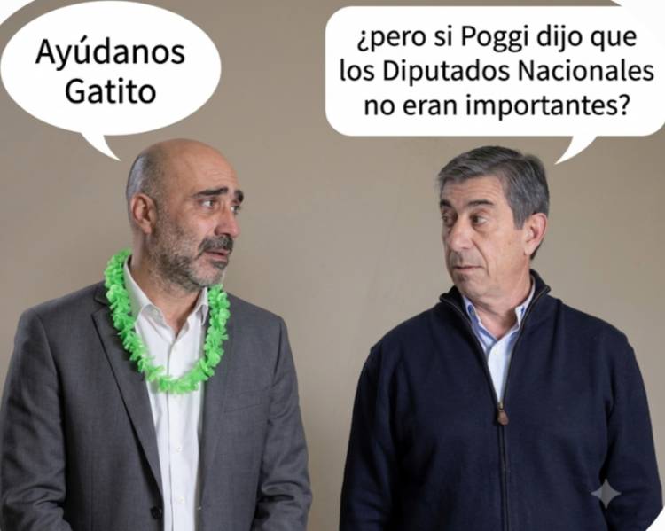 Gato: Poggi hizo votar Legisladores para Milei  porque no eran importantes y ahora a través de Trombotto se nota arrepentido.Hagamos una reunión y le pedimos a Milei lo de lo de biocombustibles y zona fría 